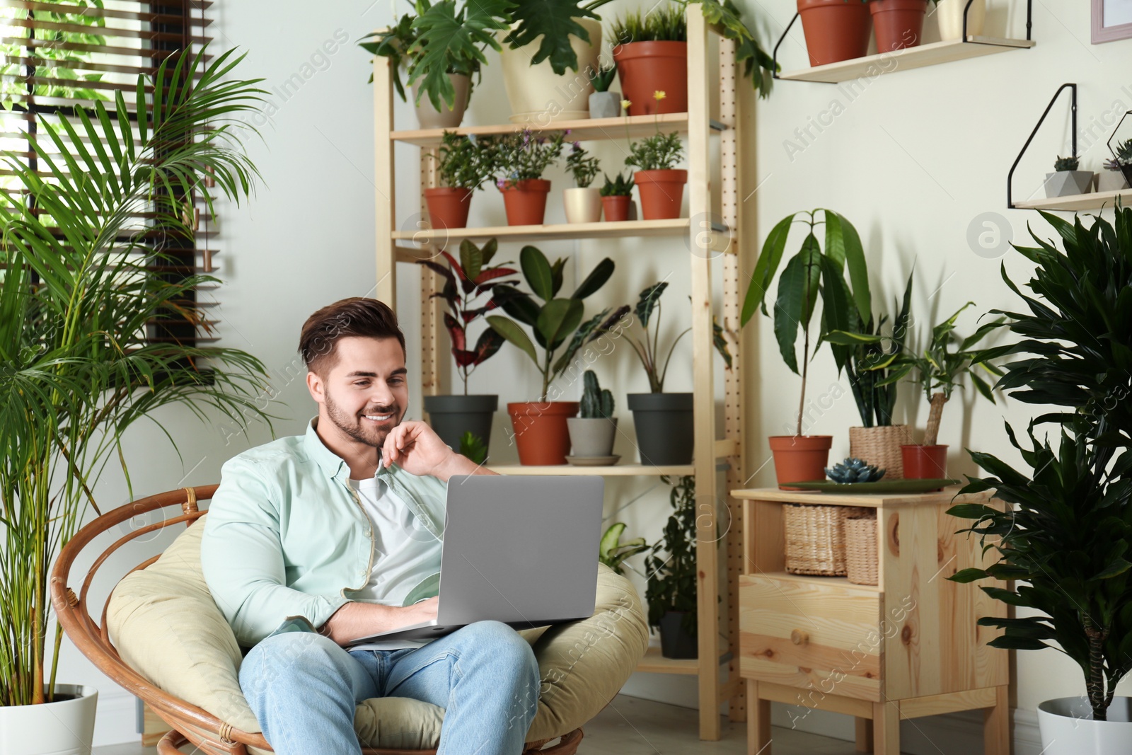 Photo of Young man using laptop in room with different home plants