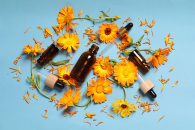 Flat lay composition with bottles of essential oils and beautiful calendula flowers on light blue background