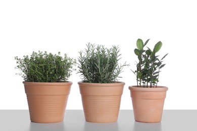 Photo of Pots with thyme, bay and rosemary on white background