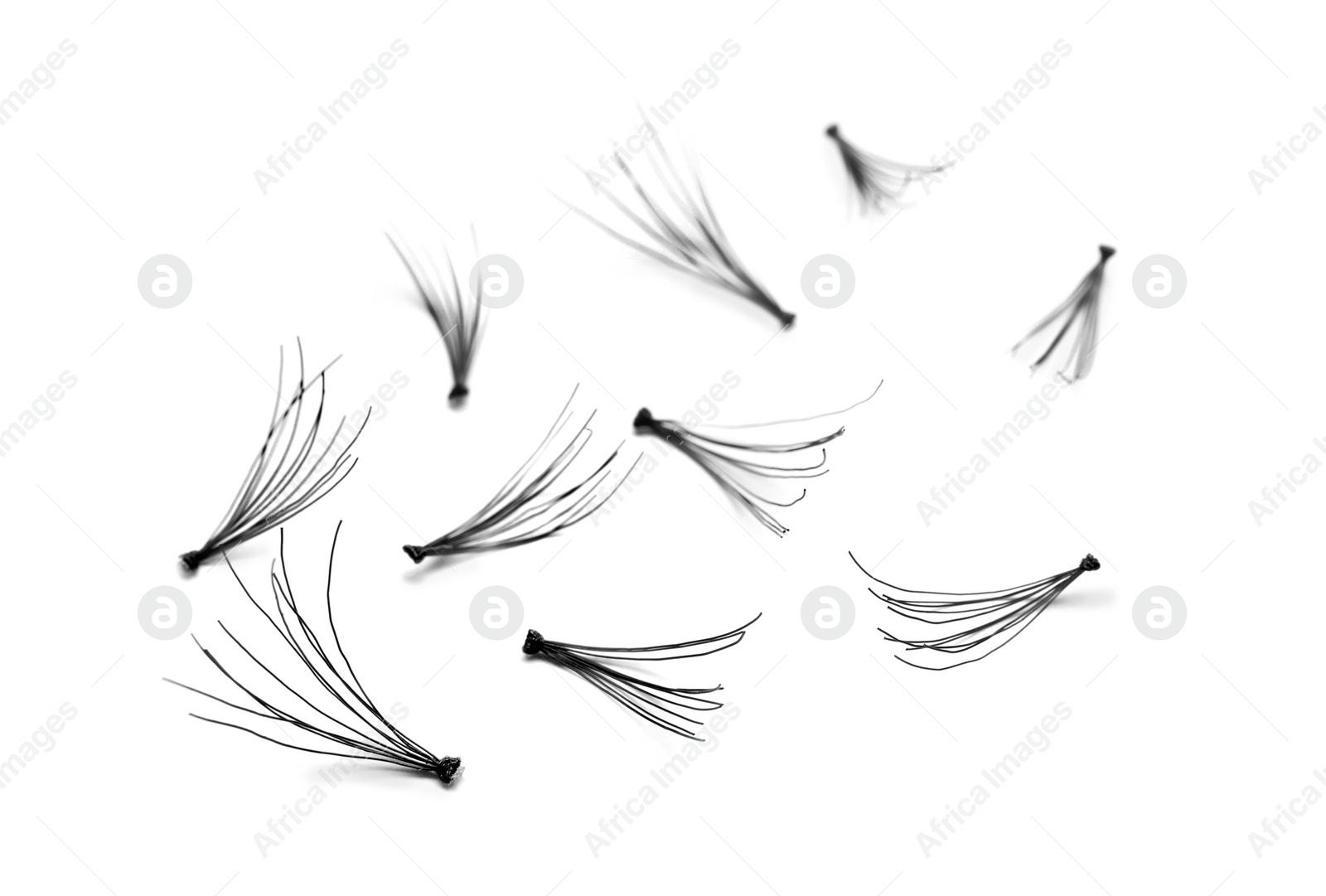 Photo of Beautiful black false eyelashes on white background