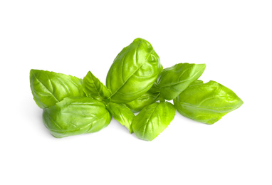 Photo of Fresh green basil leaves isolated on white