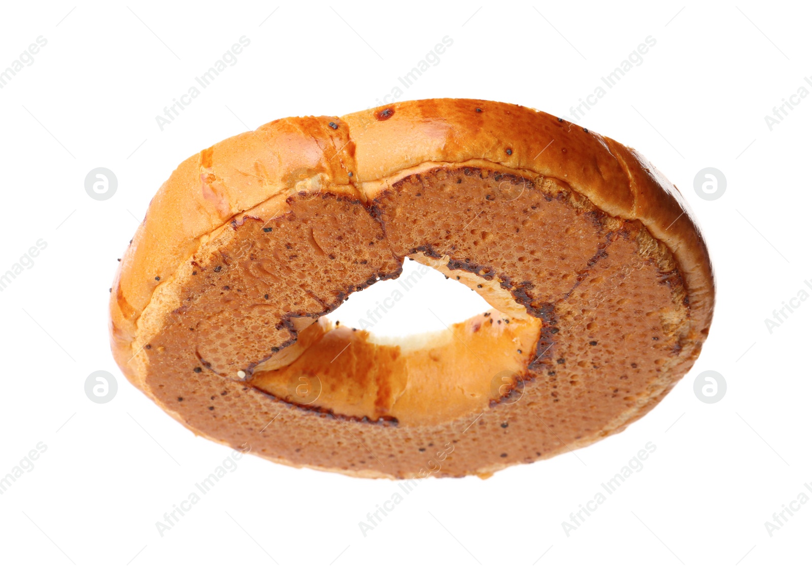 Photo of One delicious fresh bagel isolated on white