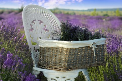 Photo of Wicker box with beautiful lavender flowers on chair in field outdoors