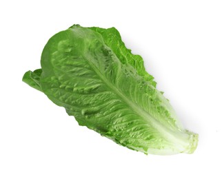 Photo of Fresh green romaine lettuce isolated on white