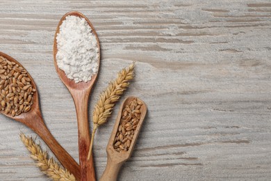 Flat lay composition with organic flour, ears of wheat and grains on wooden table. Space for text