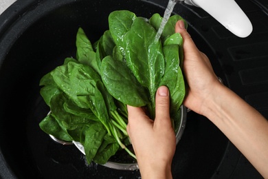 Photo of Woman washing fresh green healthy spinach in sink, closeup