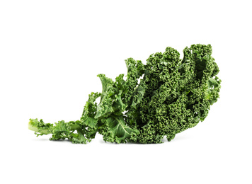 Photo of Fresh green kale leaf isolated on white