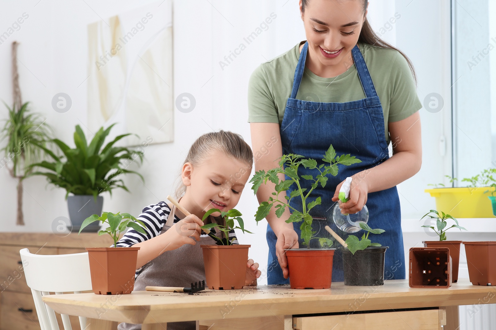 Photo of Mother and daughter taking care of seedlings in pots together at wooden table in room