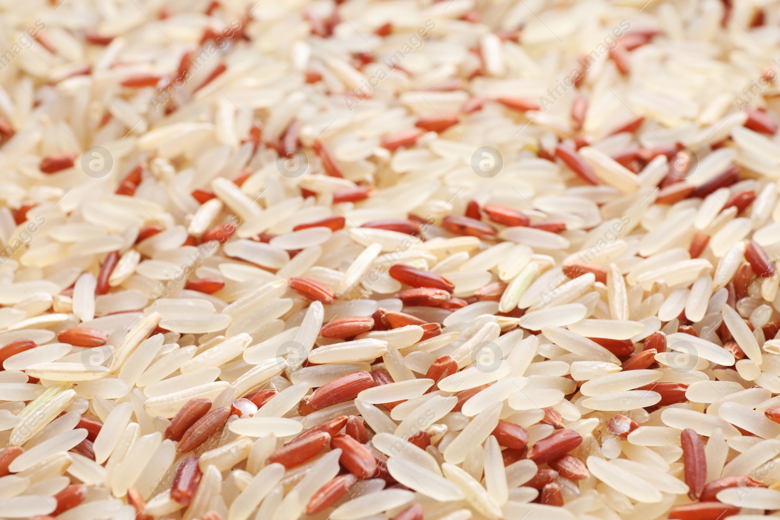 Photo of Mix of brown and polished rice as background, closeup