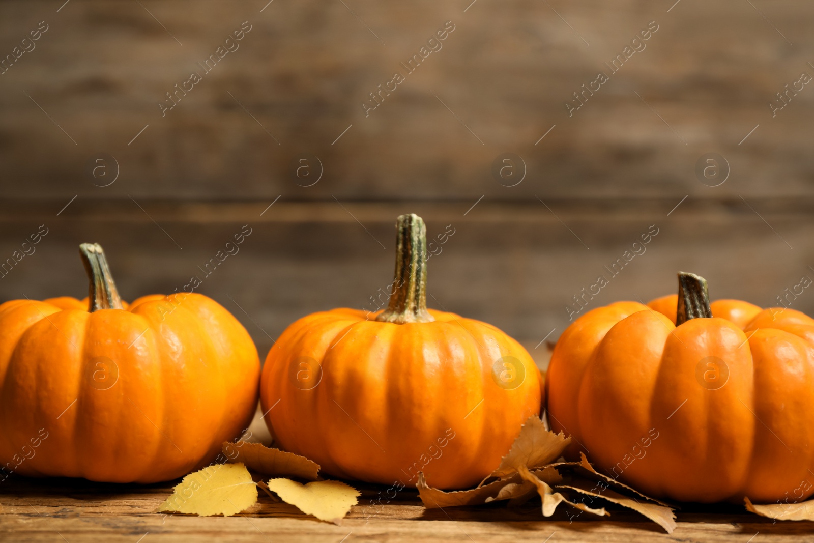 Photo of Ripe orange pumpkins and autumn leaves on wooden table. Space for text