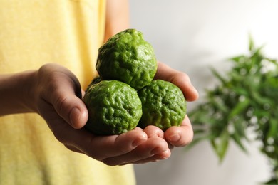 Photo of Woman holding pile of fresh ripe bergamot fruits on blurred background, closeup