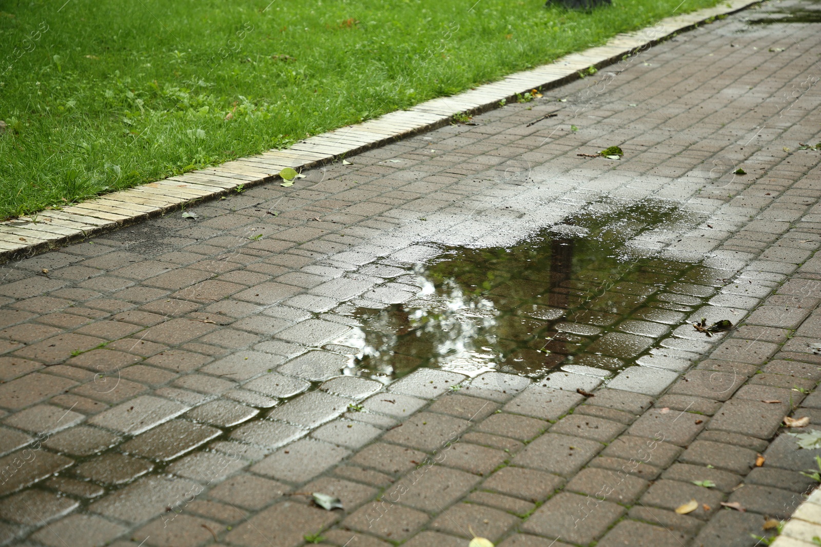 Photo of Puddle of rain water on paved pathway outdoors