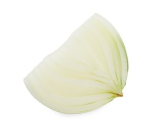 Piece of fresh ripe onion on white background