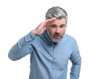 Mature businessman in stylish clothes posing on white background