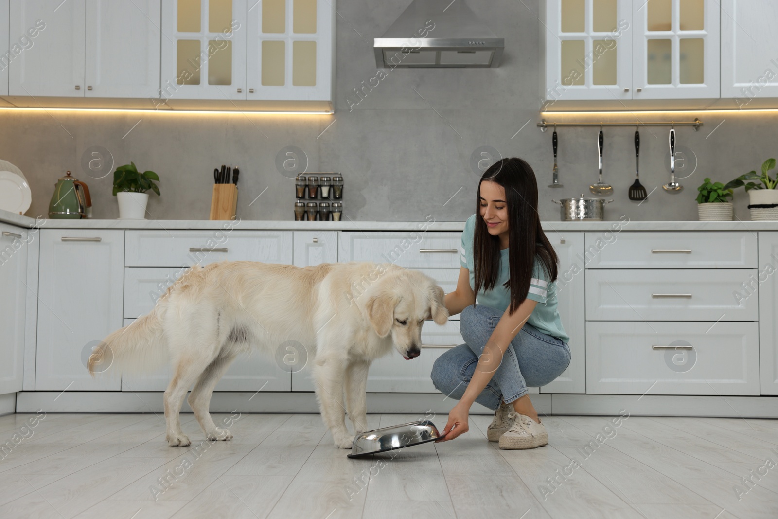 Photo of Beautiful young woman feeding her adorable Labrador Retriever in kitchen