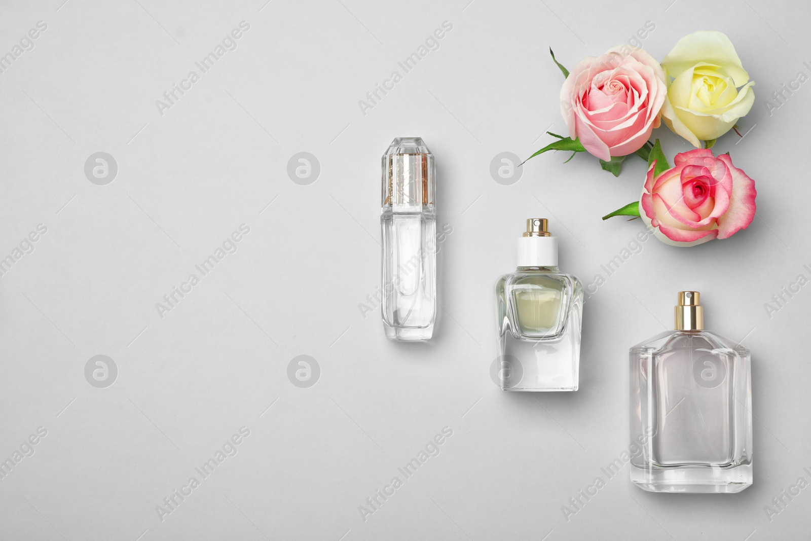 Photo of Bottles of perfume and roses on light background, top view