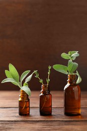 Photo of Bottles of essential oils with fresh herbs on wooden table, space for text