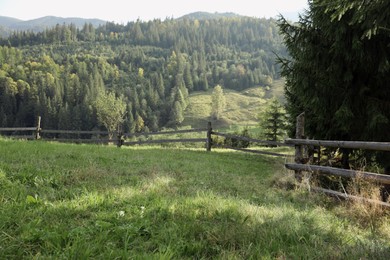 Photo of Beautiful view with wooden fence and conifer mountain forest