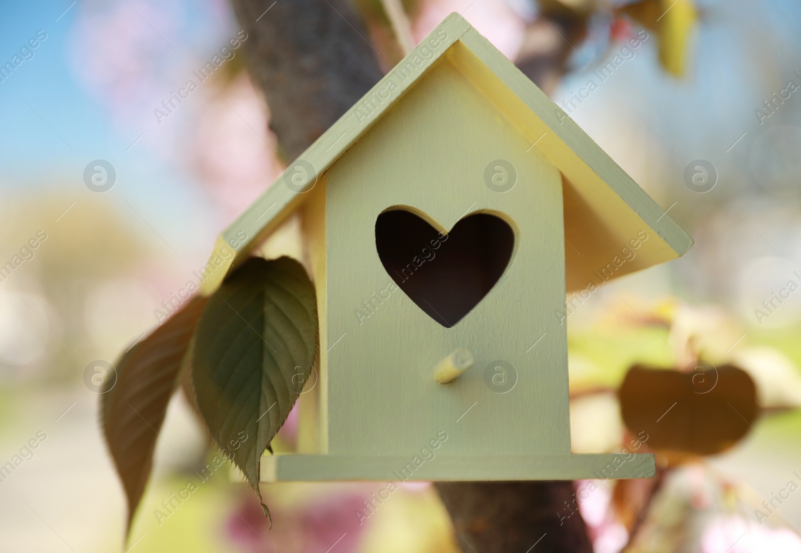 Photo of Yellow bird house with heart shaped hole hanging on tree branch outdoors