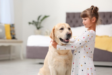 Photo of Adorable yellow labrador retriever and little girl at home