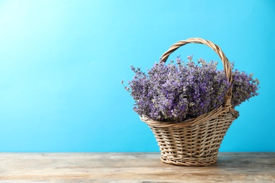 Basket with fresh lavender flowers on wooden table against blue background. Space for text