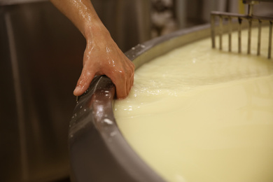 Photo of Man working with equipment at cheese factory, closeup