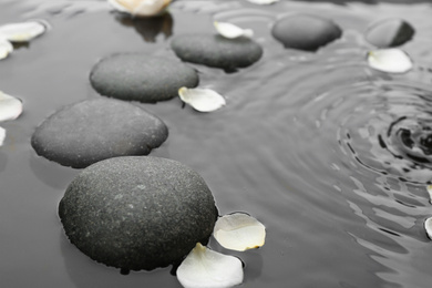 Spa stones and rose petals in water, closeup. Zen lifestyle