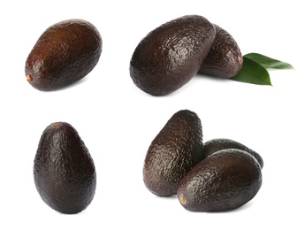 Set of ripe avocados on white background