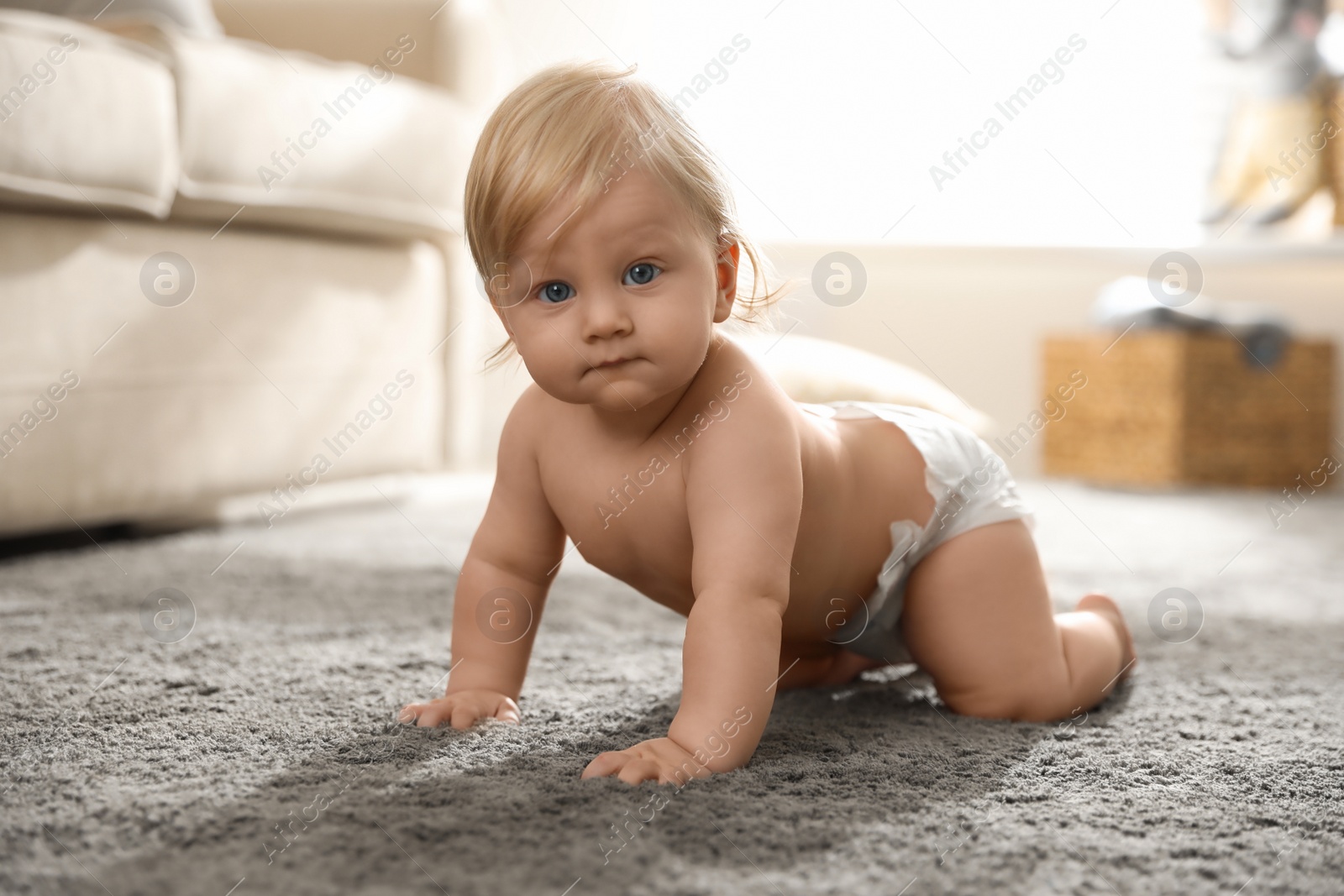 Photo of Cute little baby in diaper on carpet at home