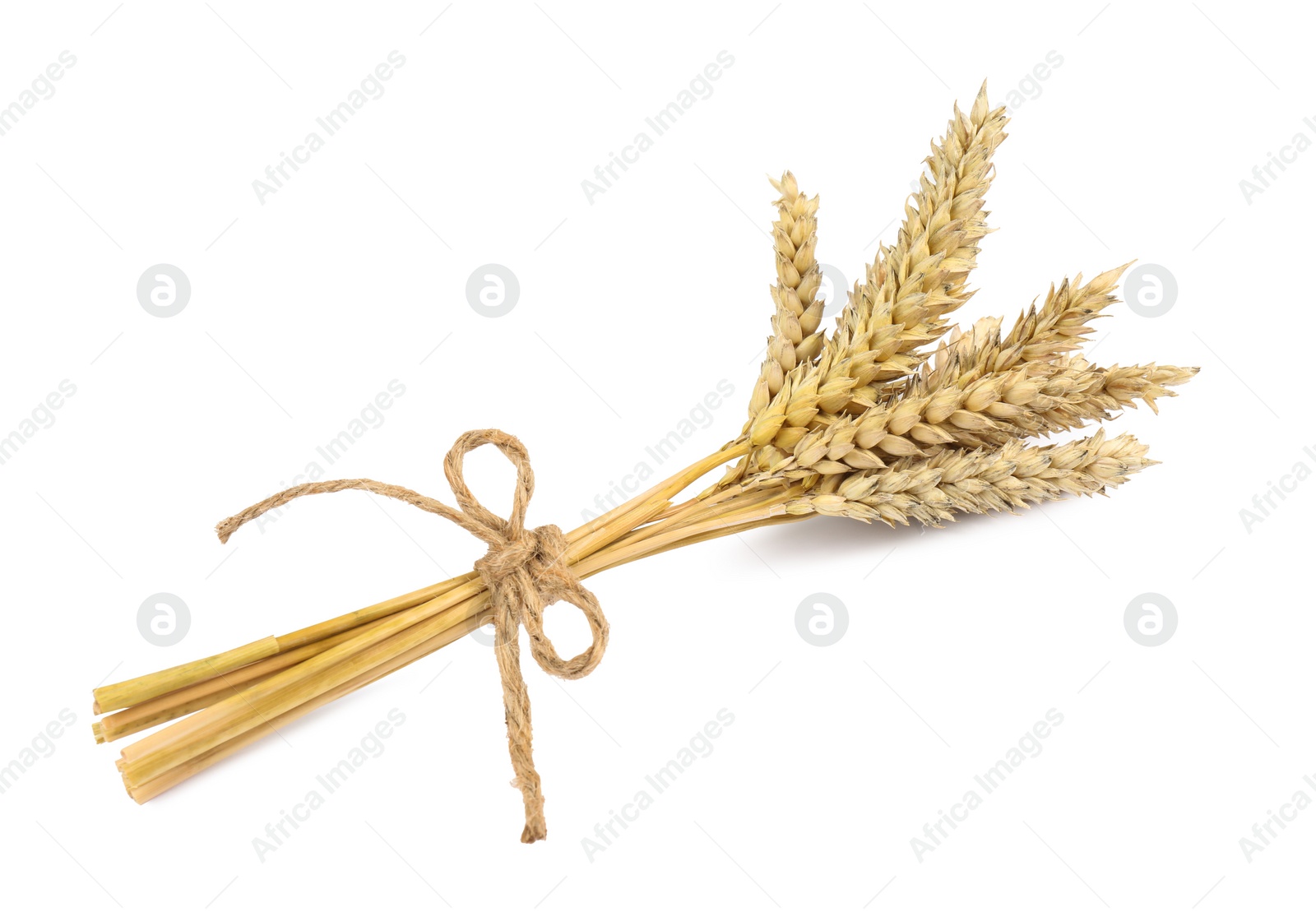 Photo of Bunch of dried wheat isolated on white