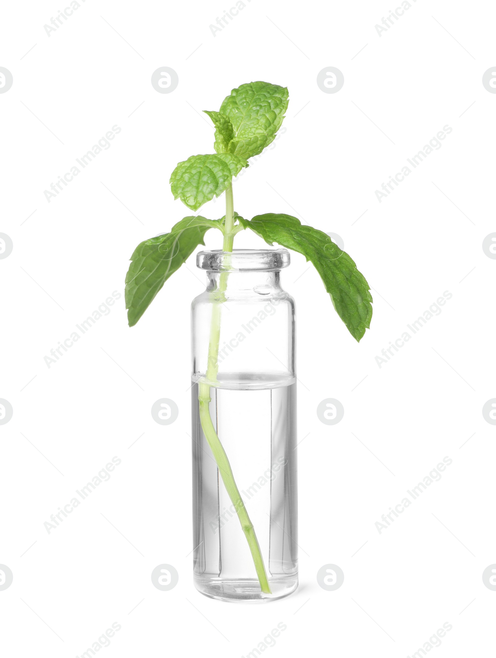 Photo of One bottle with essential oil and mint isolated on white