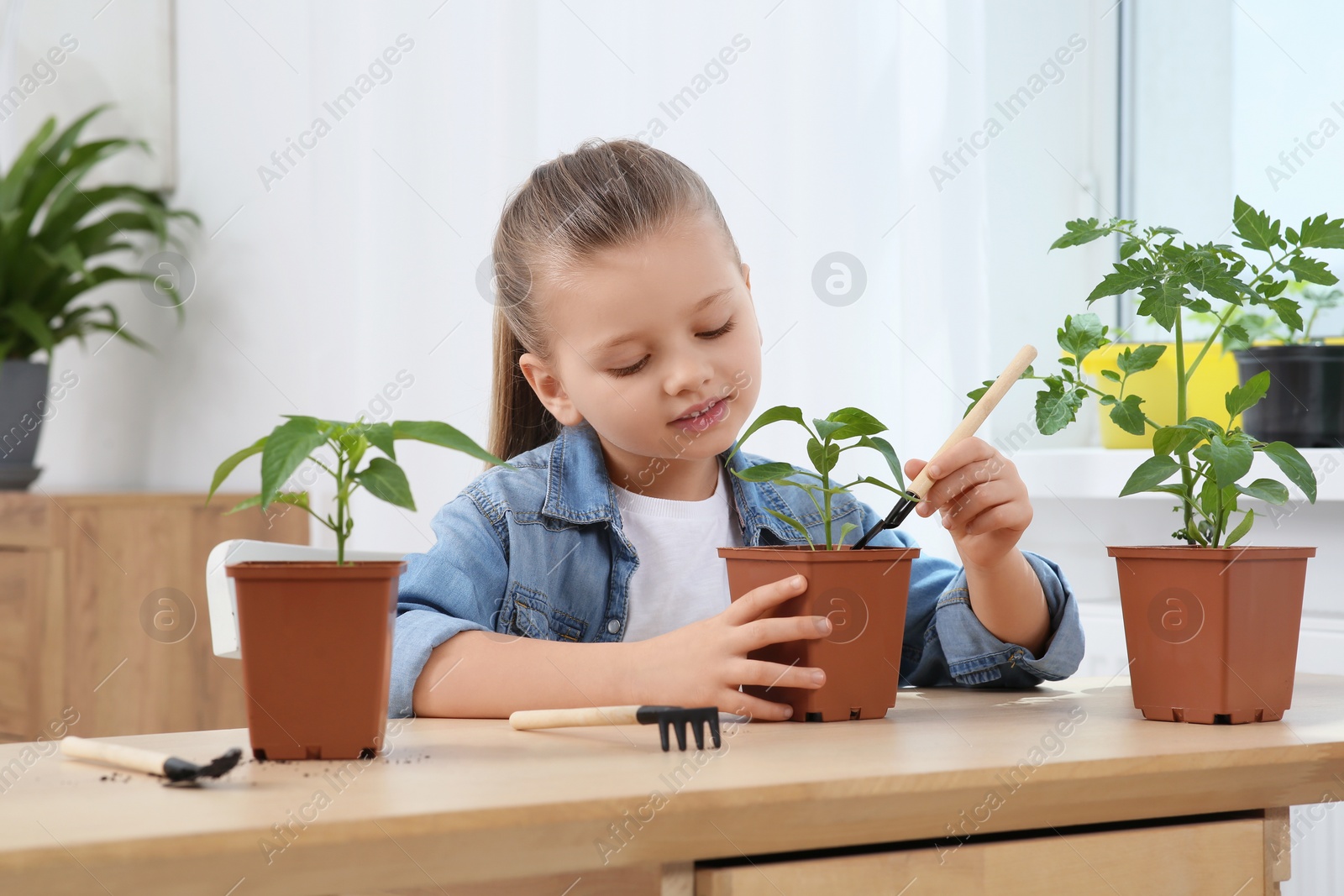 Photo of Cute little girl planting seedling into pot at wooden table in room