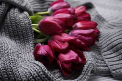 Photo of Beautiful purple tulips wrapped in gray sweater, closeup