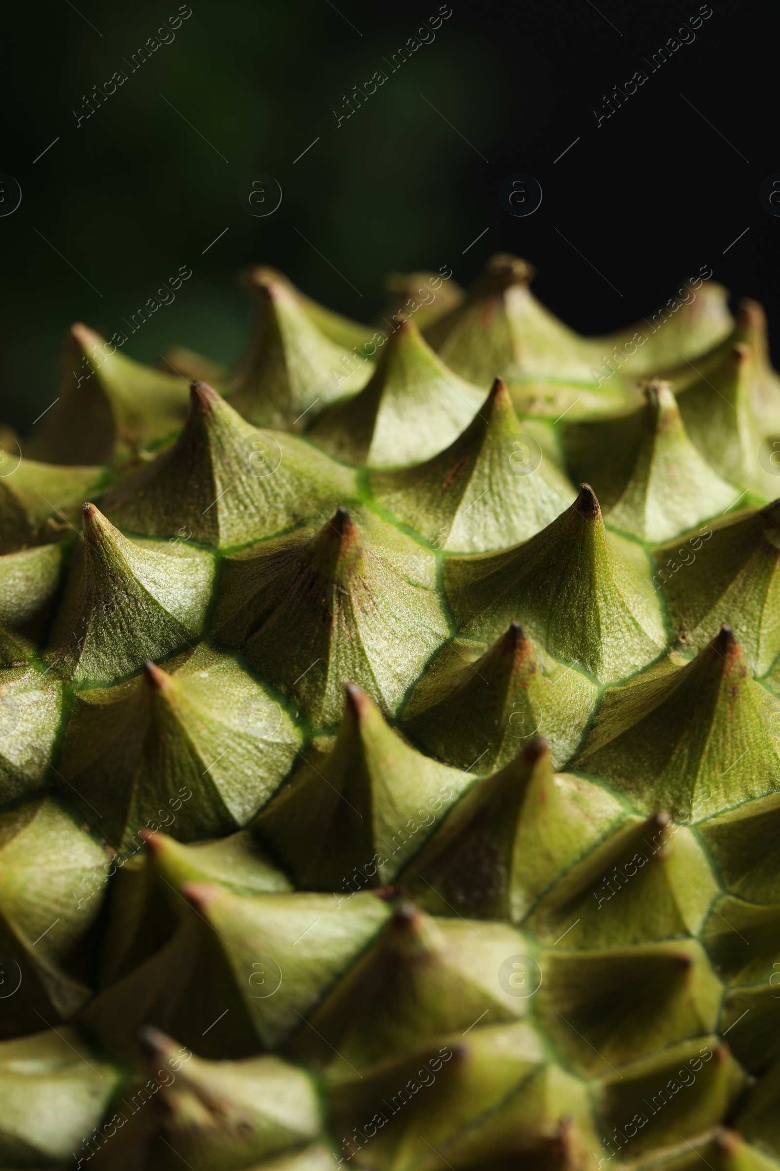 Photo of Closeup view of ripe durian on blurred background