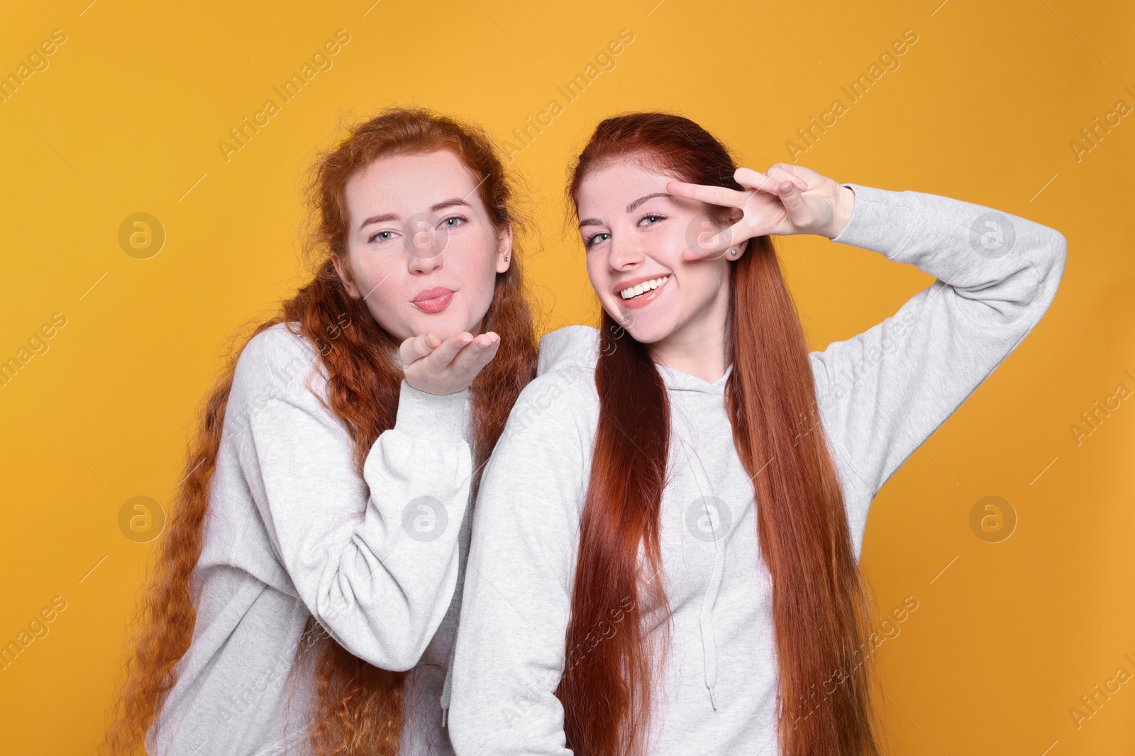 Photo of Portrait of beautiful young redhead sisters on orange background