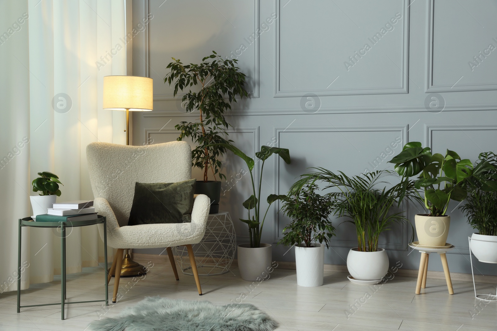 Photo of Many potted houseplants near cozy armchair in stylish room