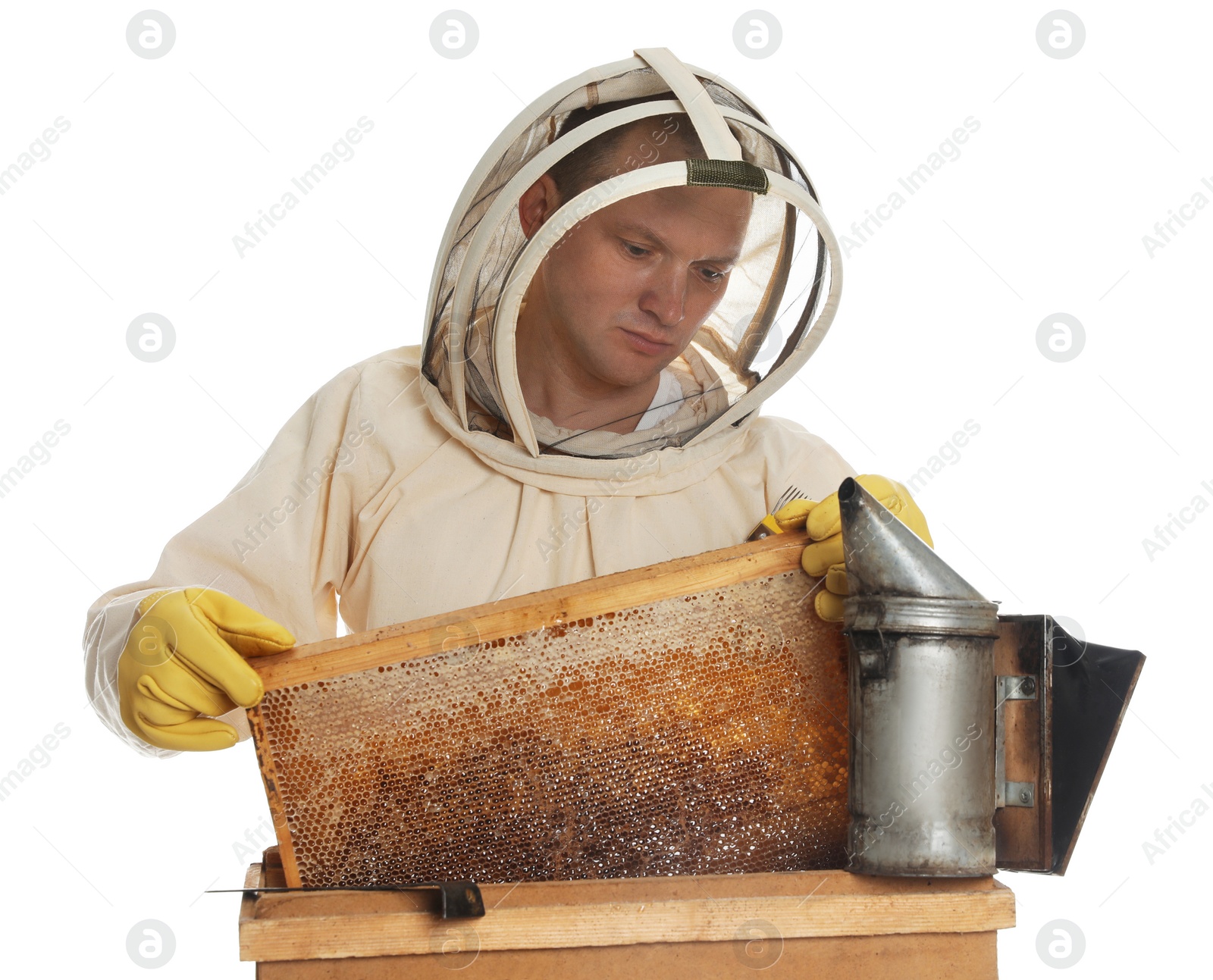 Photo of Beekeeper in uniform taking frame with honeycomb out of wooden hive on white background