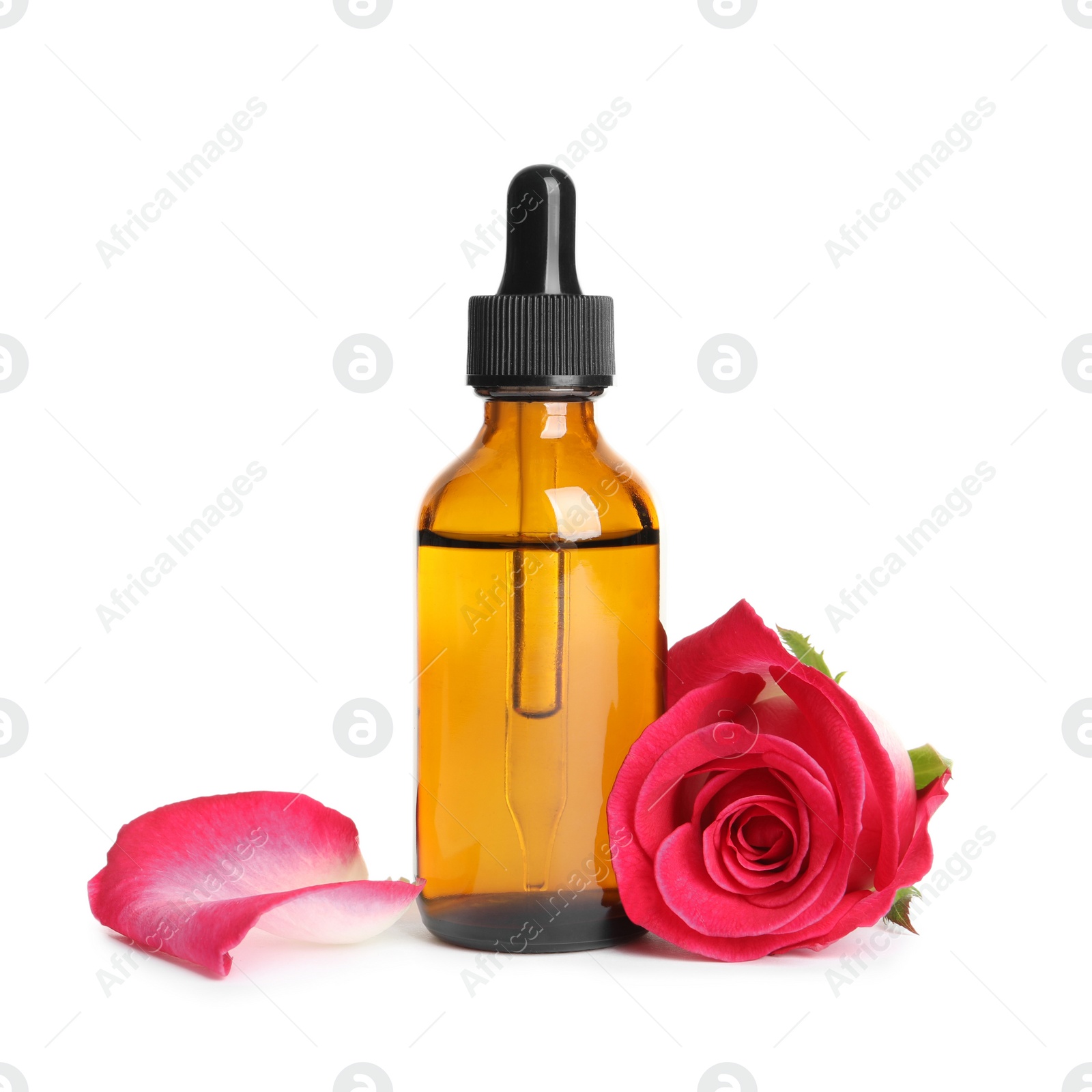 Photo of Bottle of rose essential oil and flower isolated on white