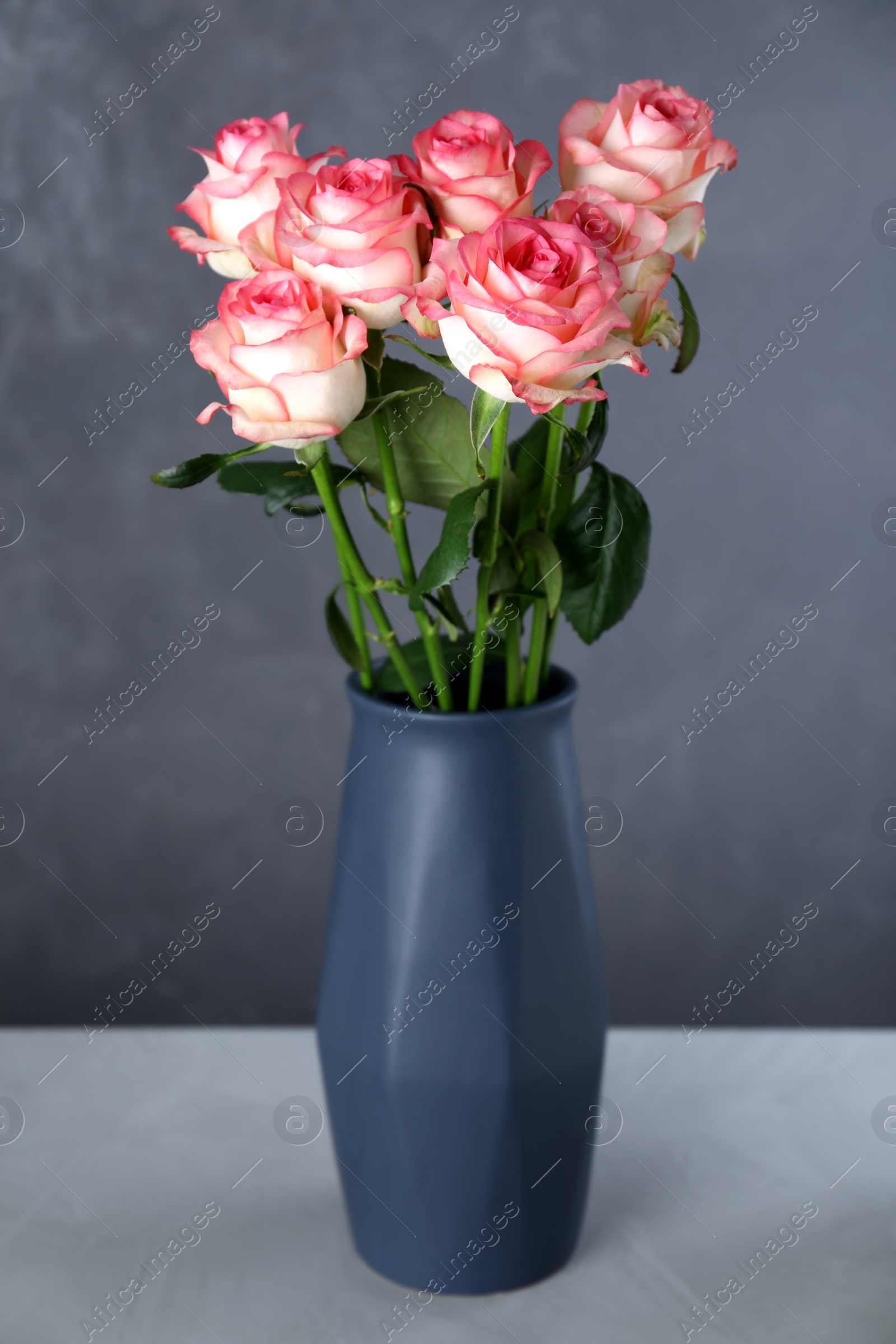 Photo of Dark blue vase with beautiful pink roses on table against grey background