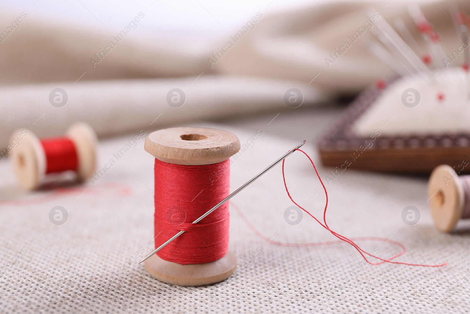 Photo of Spool of red sewing thread with needle on white fabric