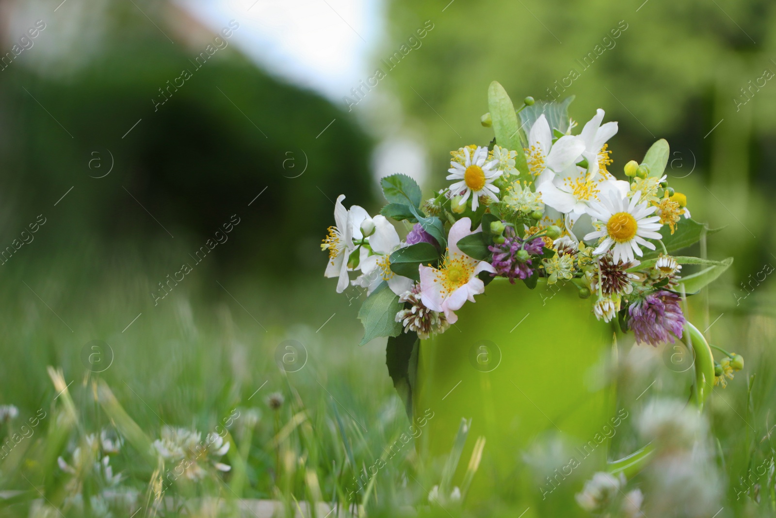 Photo of Green cup with different wildflowers and herbs on grass outdoors. Space for text