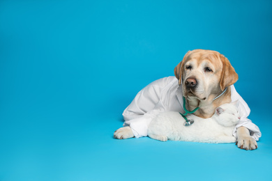Photo of Cute Labrador dog in uniform with stethoscope as veterinarian and cat on light blue background. Space for text