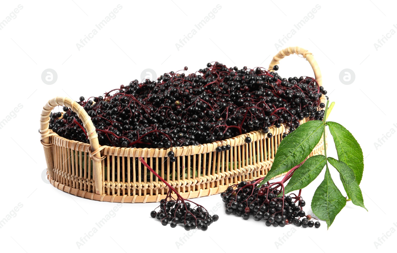 Photo of Wicker basket with ripe elderberries and green leaves on white background
