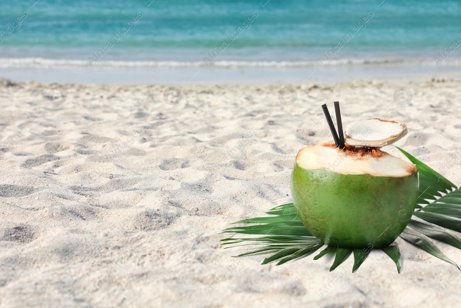 Image of Green coconut with refreshing drink and palm leaf on sandy beach near sea, space for text