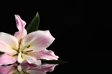 Photo of Beautiful pink lily flower with water drops on black background, space for text