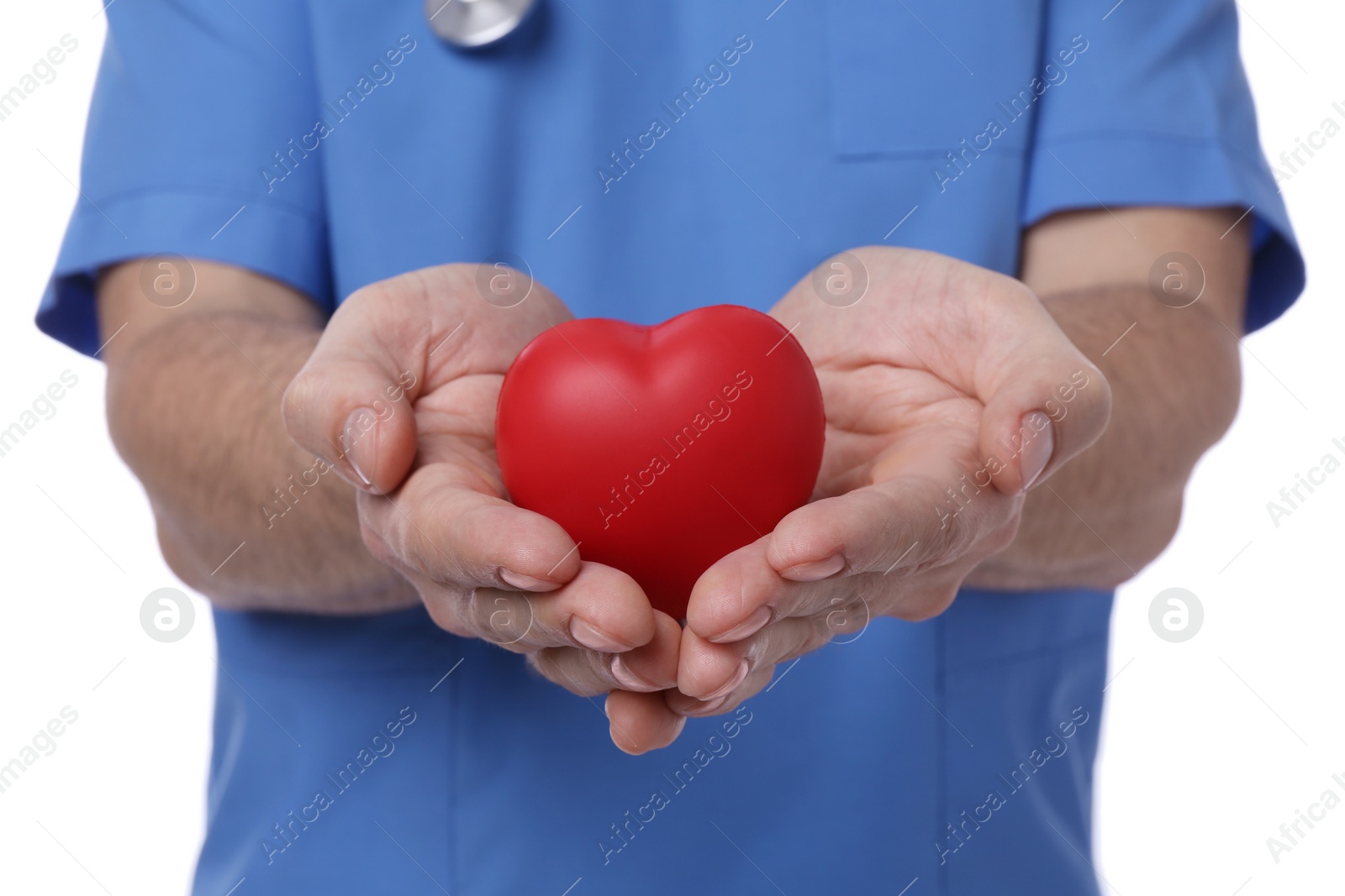 Photo of Doctor holding red heart on white background, closeup. Cardiology concept