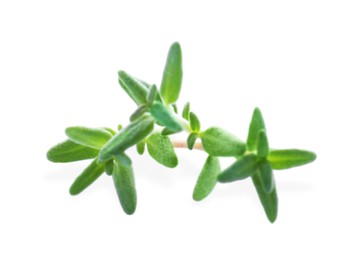 Photo of Fresh green thyme sprig isolated on white