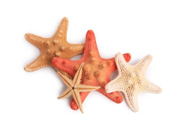 Photo of Many beautiful sea stars (starfishes) isolated on white, top view