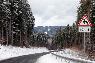 Photo of Wild animals warning traffic sign near road with snow on sides through forest