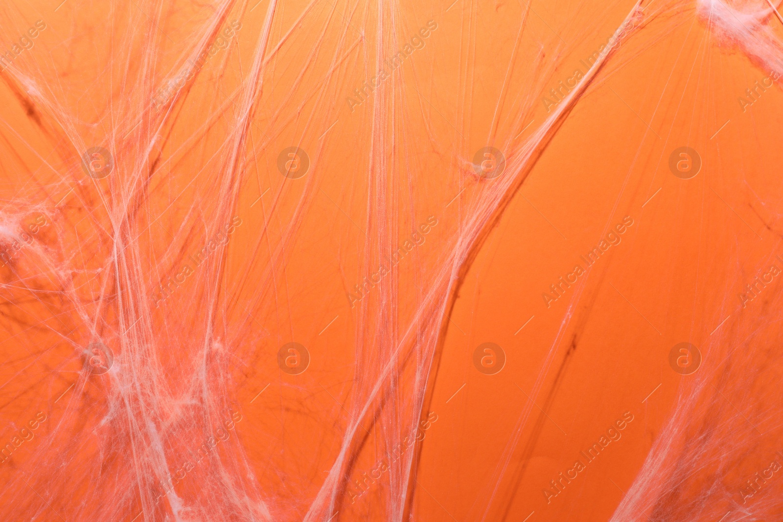 Photo of Creepy white cobweb hanging on orange background